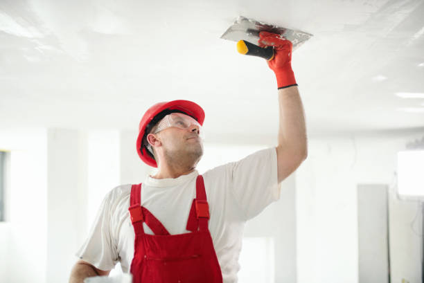 Best Wallpaper Removal and Painting  in Hernando, FL