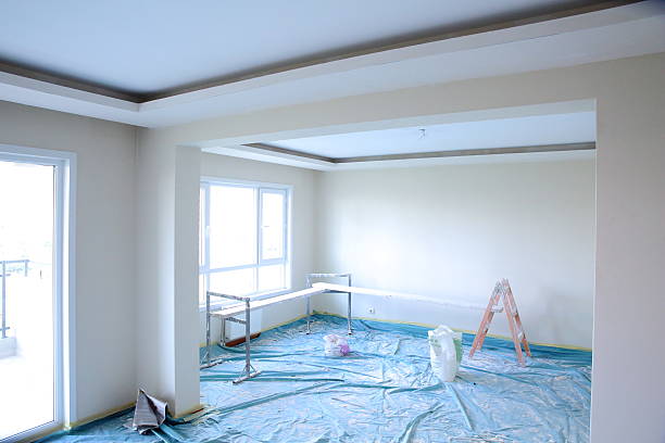 Best Repainting for Renovations  in Hernando, FL